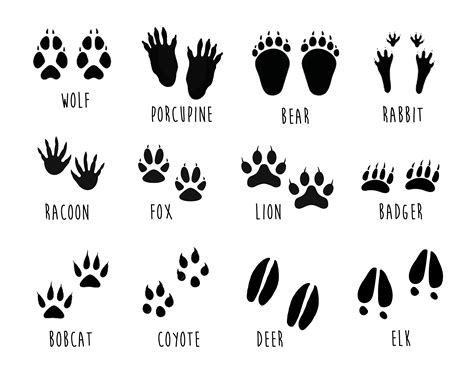 Printable Animal Track Stencils